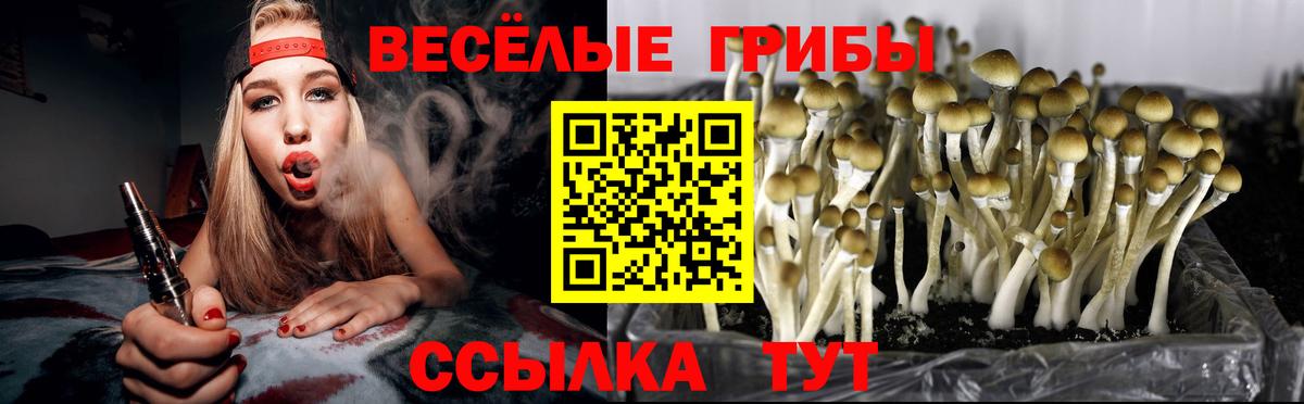 Галлюциногенные грибы прущие грибы  Вход с VPN  Вышний Волочёк 