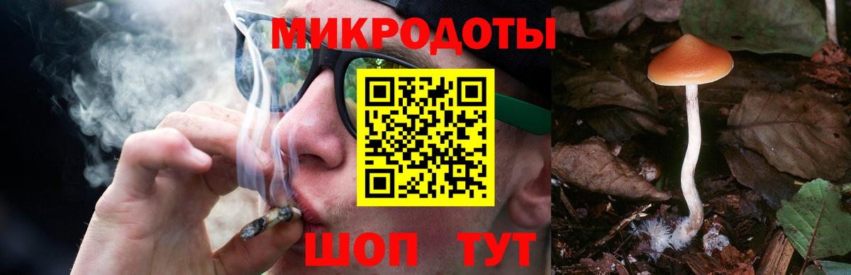 Галлюциногенные грибы мицелий Вышний Волочёк